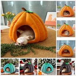 Cat resting inside a 3D pumpkin-shaped pet house with soft plush interior and semi-enclosed design