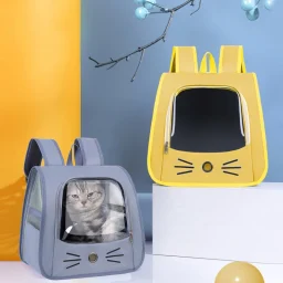 Cat inside transparent-front cat carrier backpack in blue and yellow colors